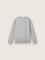 Journey crew neck sweatshirt for boys in gray melange cotton with mascot print - Image 2
